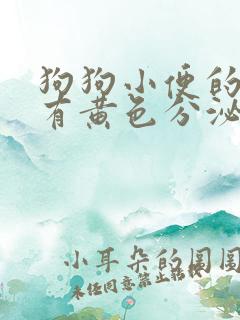 狗狗小便的地方有黄色分泌物