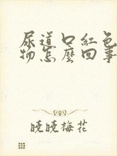 尿道口红色分泌物怎么回事