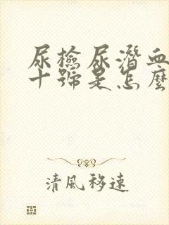 尿检尿潜血2个十号是怎么回事