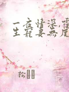 一夜情深,霍先生宠妻无度全书