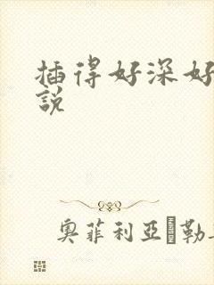 插得好深好爽小说