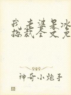 我老婆是冰山女总裁全文免费阅读