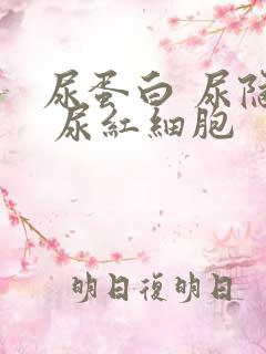 尿蛋白 尿隐血 尿红细胞