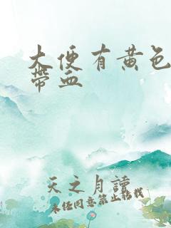 大便有黄色粘液带血