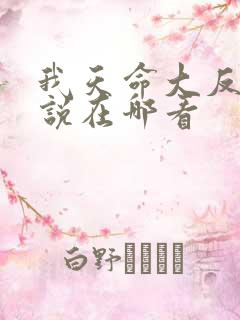 我天命大反派小说在哪看
