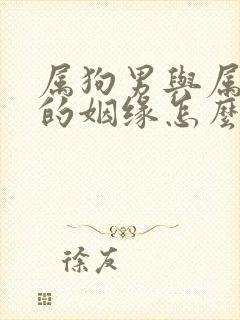 属狗男与属牛女的姻缘怎么样