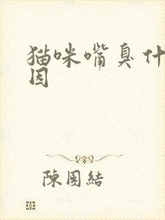 猫咪嘴臭什么原因