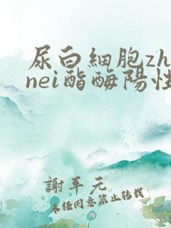 尿白细胞zhinei酯酶阳性