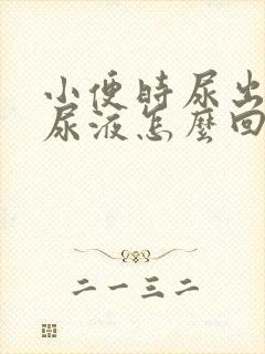 小便时尿出浑浊尿液怎么回事