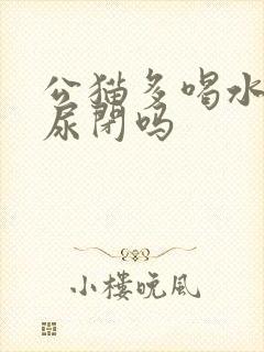 公猫多喝水还会尿闭吗