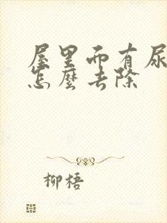 屋里面有尿骚味怎么去除