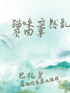 猫咪突然乱尿怎么回事