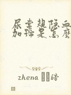 尿常规隐血3个加号是怎么回事