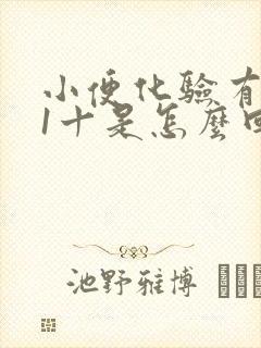 小便化验有隐血1十是怎么回事