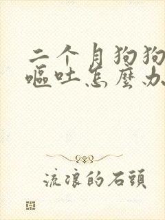 二个月狗狗拉稀呕吐怎么办