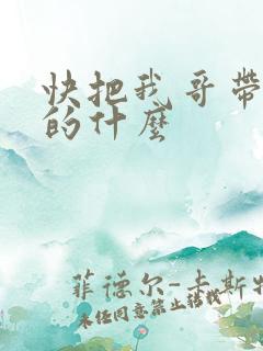 快把我哥带走讲的什么