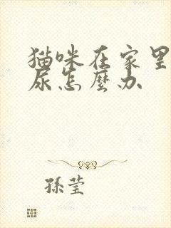 猫咪在家里乱拉尿怎么办