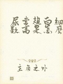 尿常规白细胞计数高是怎么回事