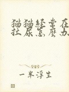 猫猫经常在床上拉尿怎么办