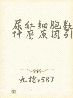 尿红细胞数高是什么原因引起的