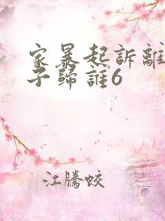 家暴起诉离婚孩子归谁6