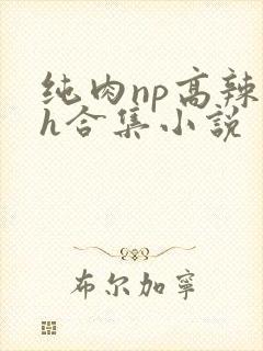纯肉np高辣文h合集小说
