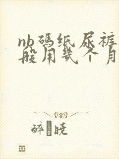 nb码纸尿裤一般用几个月