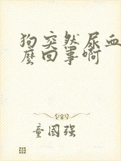 狗突然尿血是怎么回事啊