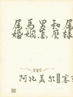 属马男和属龙女婚姻怎么样