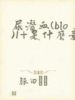 尿潜血(blo)1+是什么意思