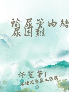 输尿管内结石排尿困难