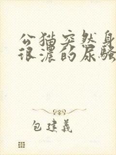 公猫突然身上有很浓的尿骚味