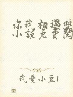 你我相遇双女主小说免费阅读