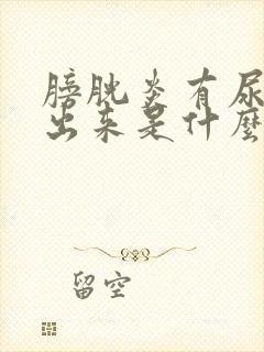 膀胱炎有尿排不出来是什么原因