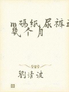 m码纸尿裤适合几个月