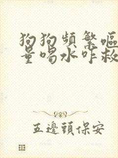 狗狗频繁呕吐大量喝水咋救命