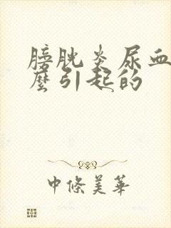 膀胱炎尿血是什么引起的