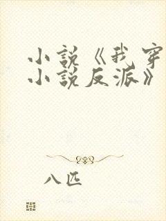 小说《我穿越成小说反派》