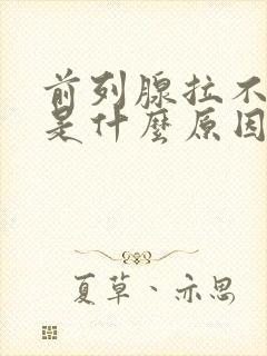 前列腺拉不出尿是什么原因