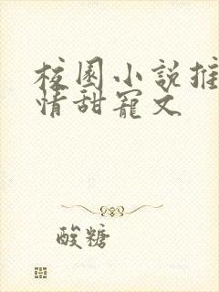 校园小说推荐言情甜宠文