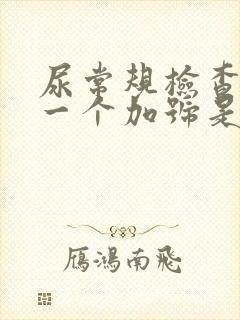 尿常规检查隐血一个加号是怎么回事