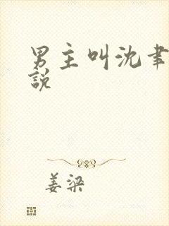 男主叫沈聿的小说