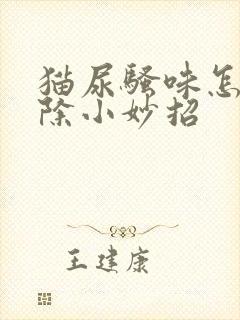 猫尿骚味怎么去除小妙招