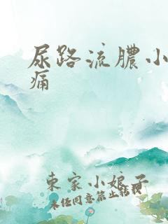 尿路流脓小便刺痛