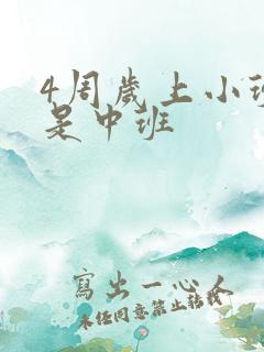 4周岁上小班还是中班