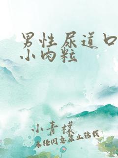 男性尿道口边有小肉粒