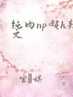 纯肉np超h辣文