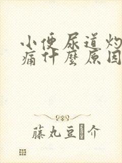 小便尿道灼热刺痛什么原因引起的