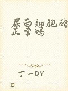 尿白细胞酯酶±正常吗