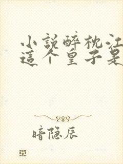 小说醉枕江山,这个皇子是老六